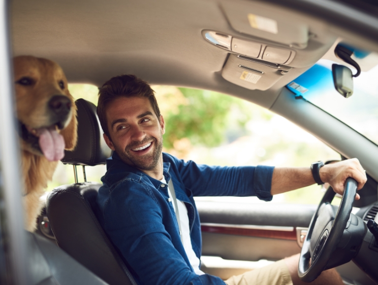 Roof Lining Repair Marrickville