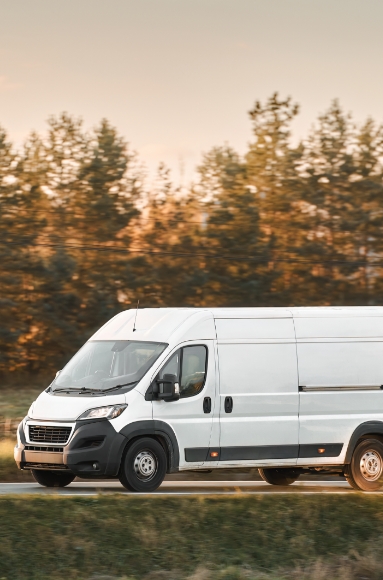 Roof Lining Repair Ashfield